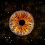 Delphine BURTON - Delphine Burton photographe