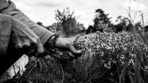 Florian RENAUD - FLORIAN RENAUD PHOTOGRAPHIE