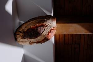 Antonio FILMMAKER - Antonio Chauvard